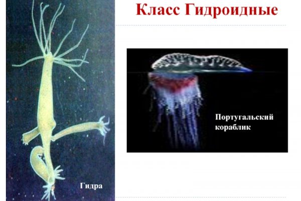 Кракен даркнет рабочая